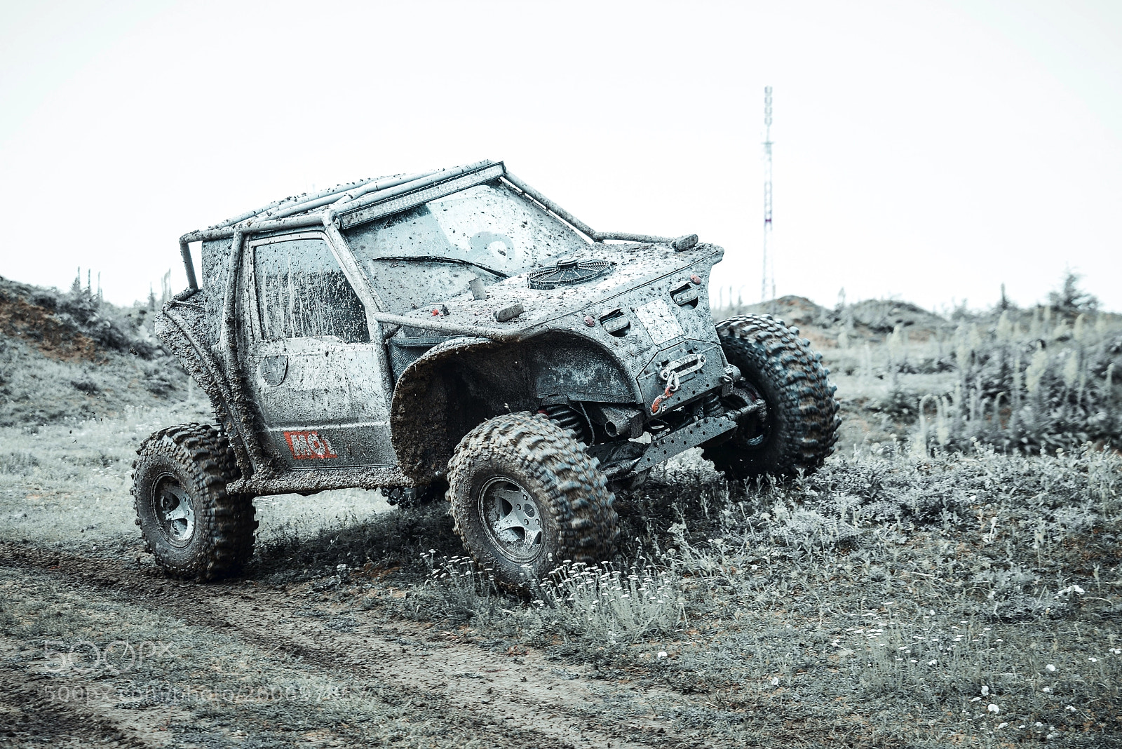Nikon D610 sample photo. Mud photography