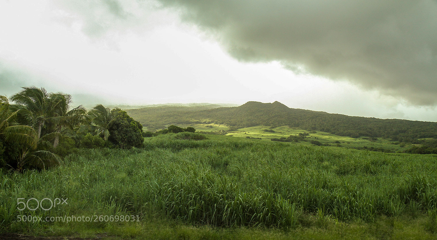 Canon EOS 7D sample photo. Ile de la r photography