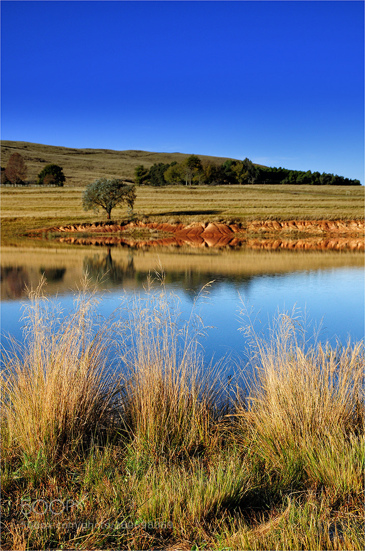 Nikon D300 sample photo. Karkloof colour hd photography