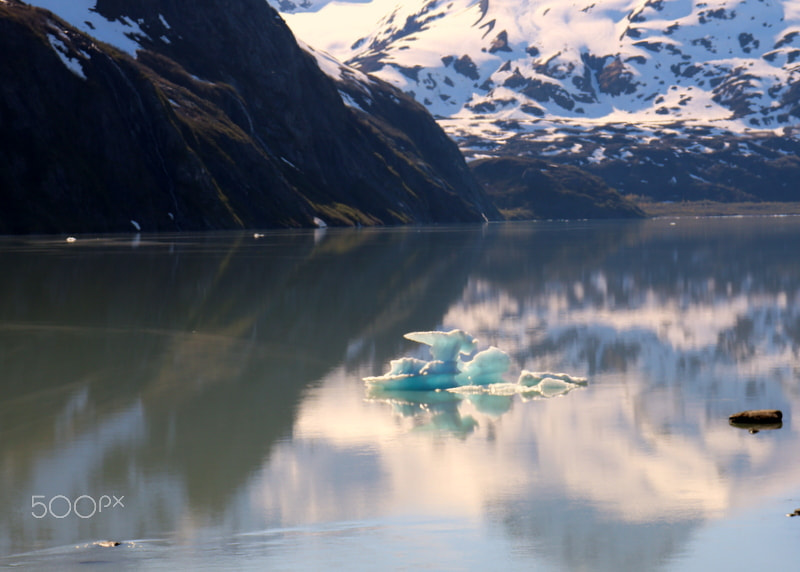 Canon EOS 200D (EOS Rebel SL2 / EOS Kiss X9) sample photo. Calving glacier photography