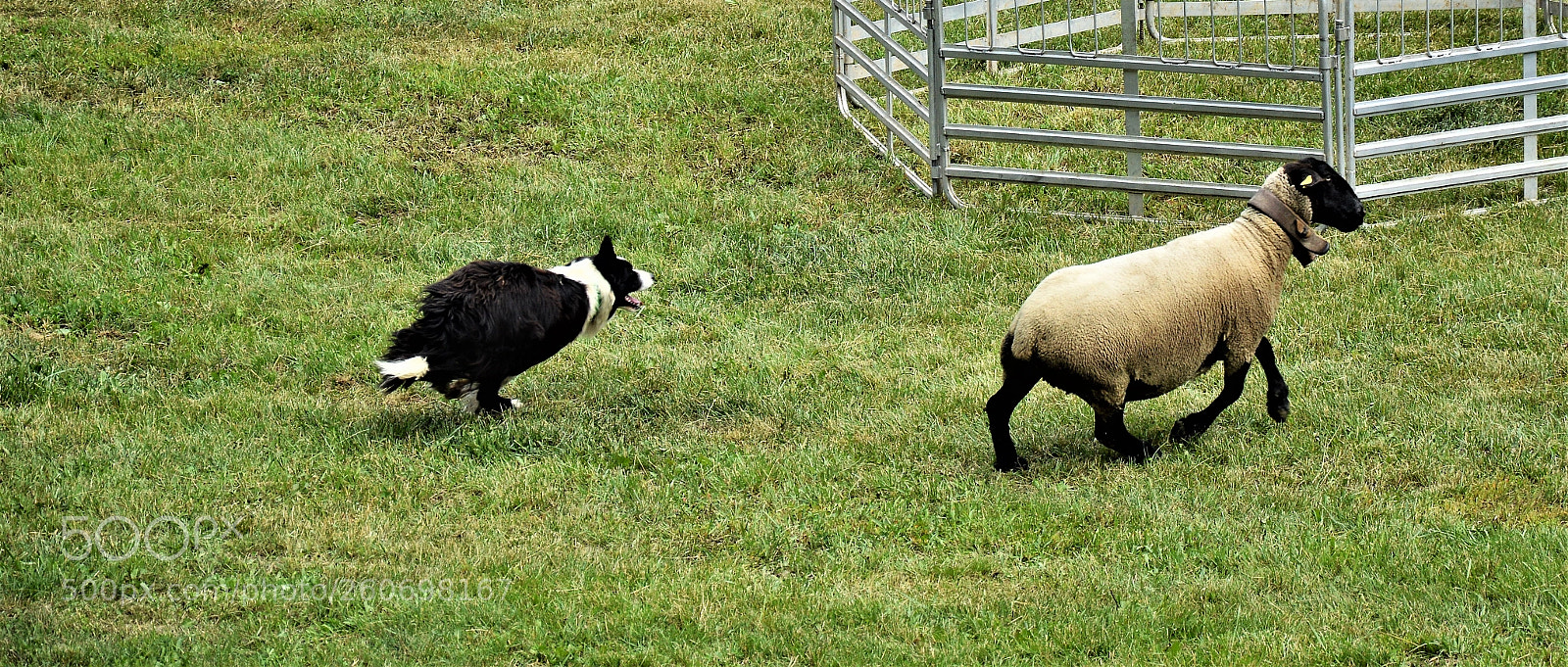 Nikon D3200 sample photo. Untitled photography