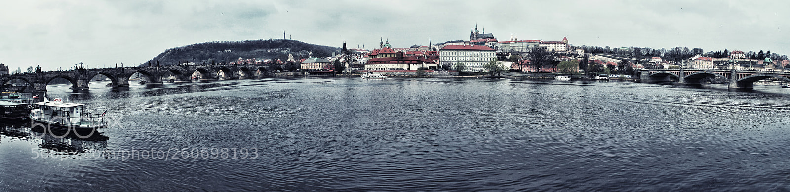 Nikon D60 sample photo. Panoramamoldauraw v photography
