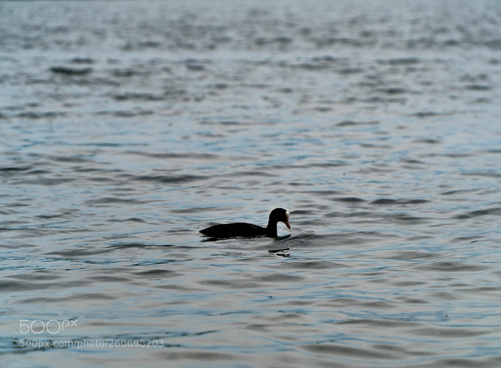 Sony a6500 sample photo. Trakai, lithuania photography