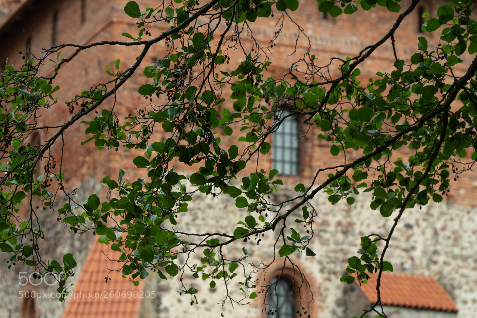 Sony a6500 sample photo. Trakai, lithuania photography