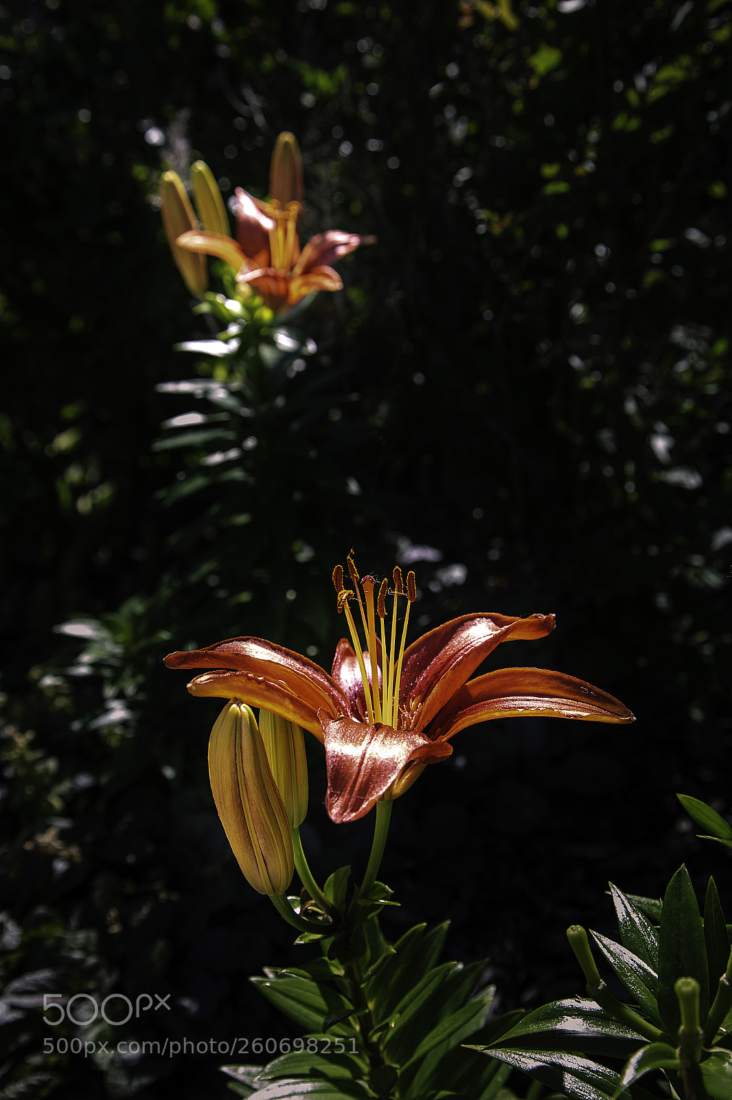 Canon EOS 6D sample photo. Twin towers photography