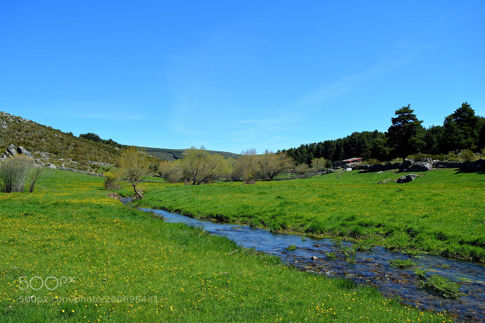 Nikon D5200 sample photo. Water flow from the photography