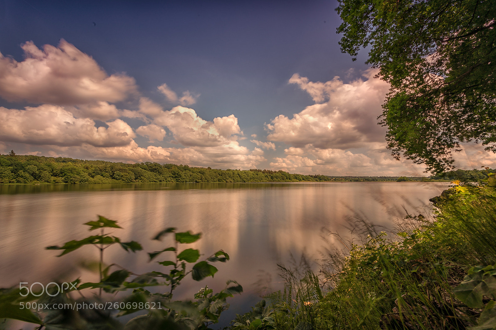 Sony a7R III sample photo. Dreifelder weiher photography