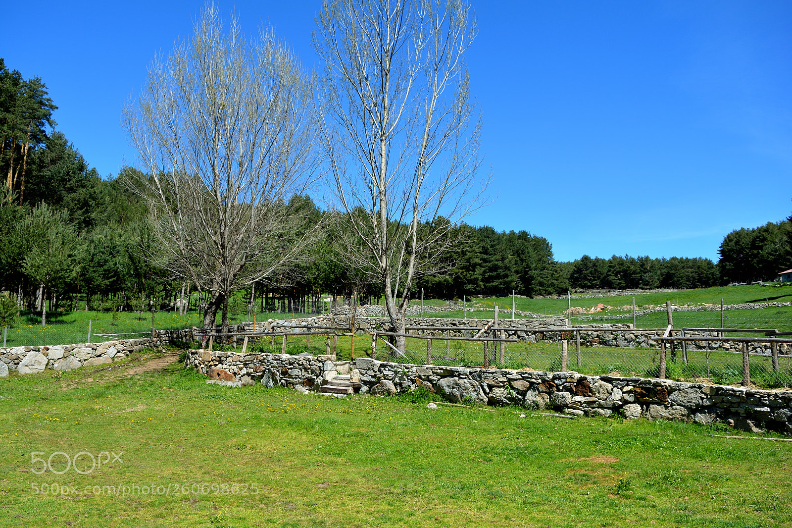 Nikon D5200 sample photo. Country side in the photography