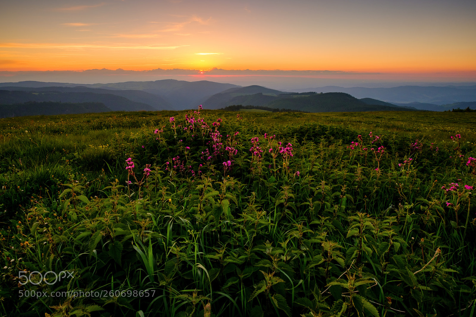 Fujifilm X-H1 sample photo. Black forest sunset photography