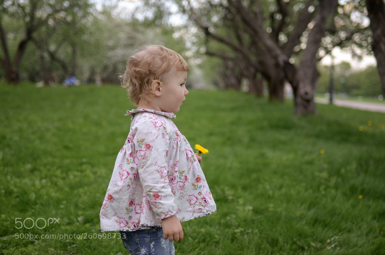 Nikon D7000 sample photo. Untitled photography