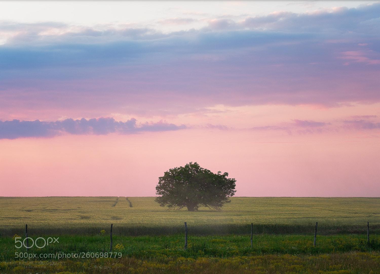 Olympus OM-D E-M1 Mark II sample photo. Bessarabian steppe photography