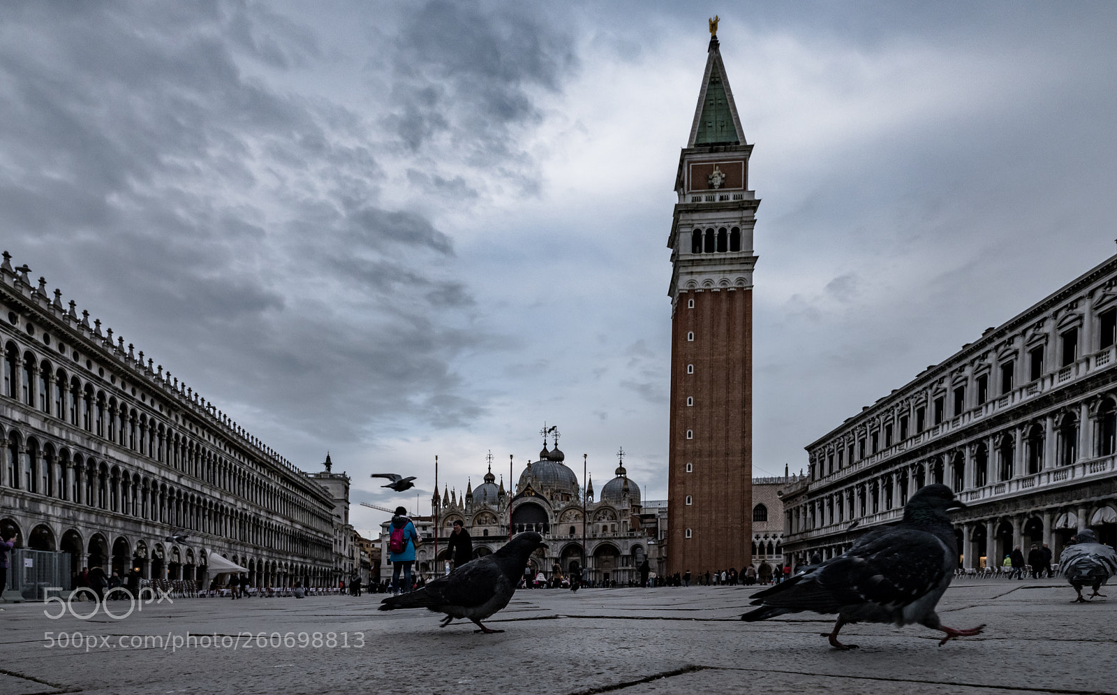 Fujifilm GFX 50S sample photo. Dscf0247.jpg photography