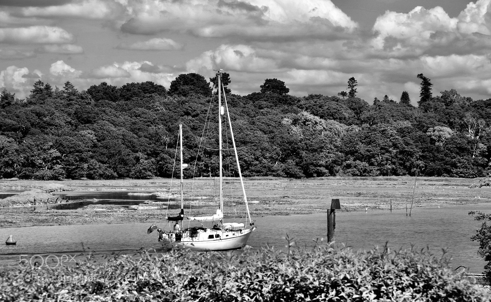 Pentax K-70 sample photo. Start of a summer photography