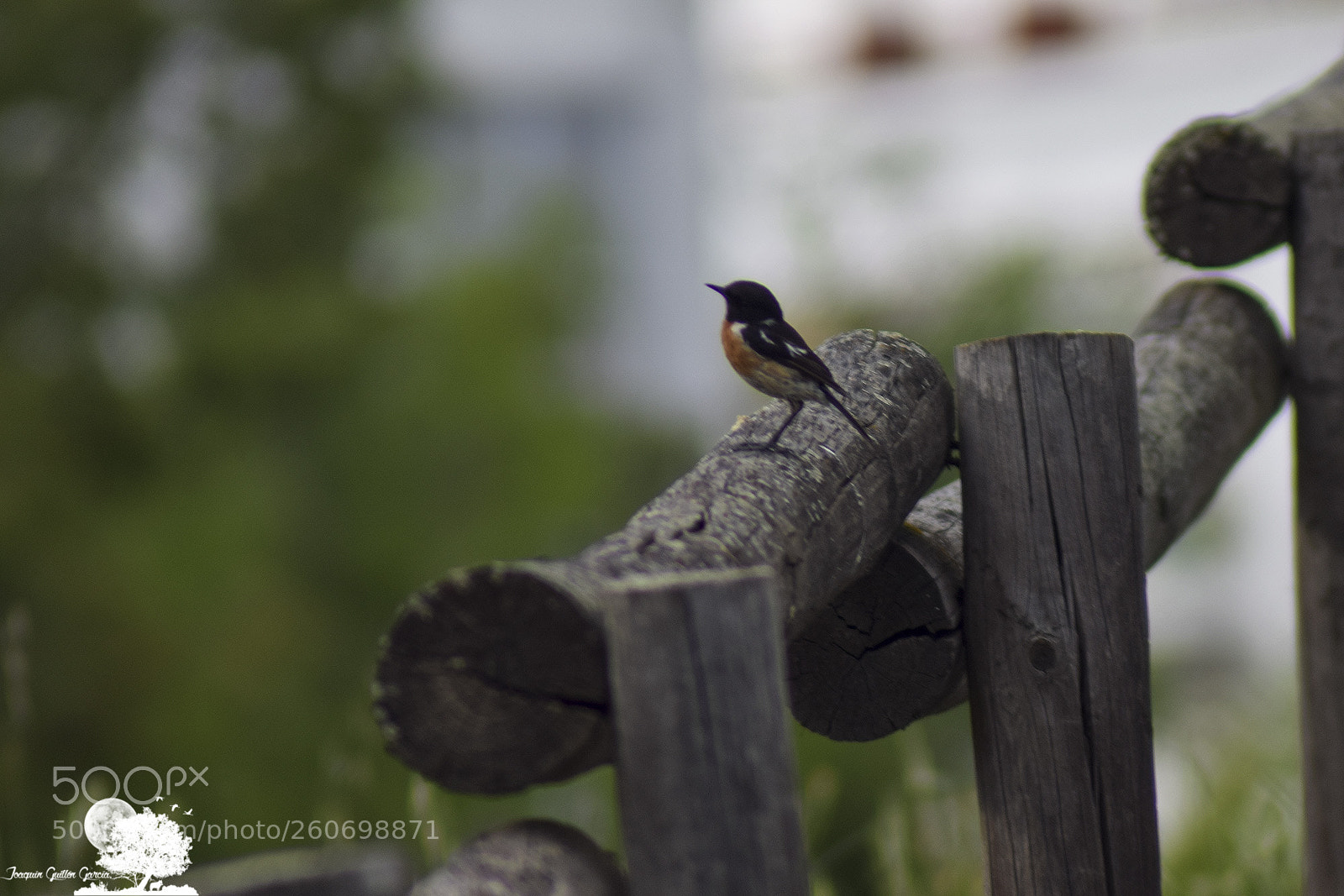 Nikon D3300 sample photo. . photography