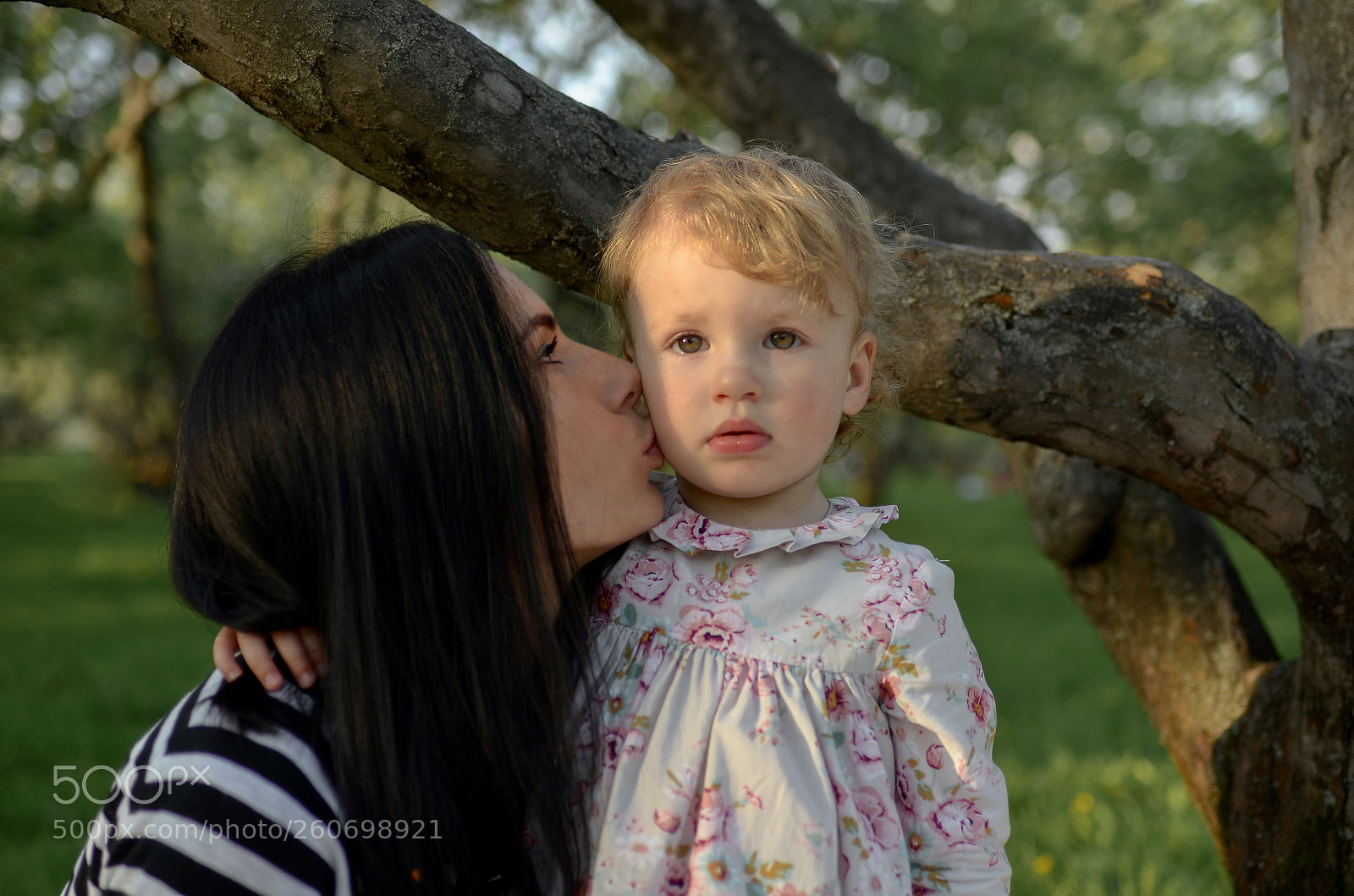 Nikon D7000 sample photo. Untitled photography