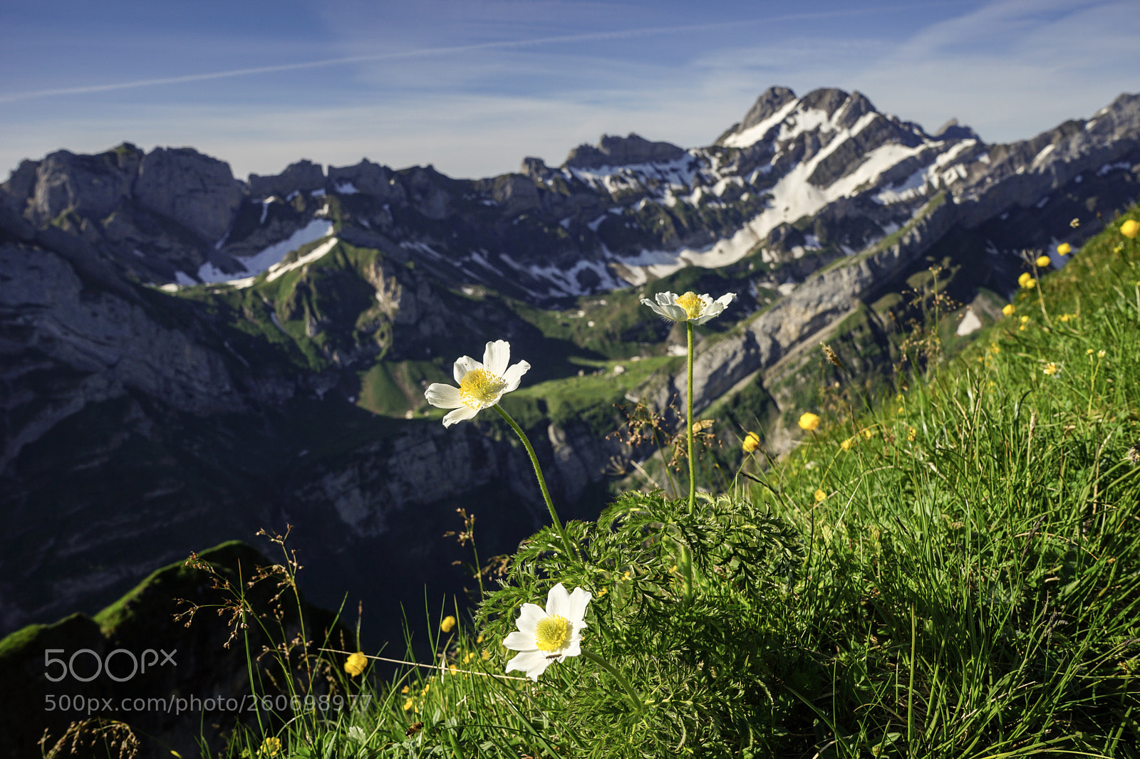 Sony a7 II sample photo. Schäfler alpstein photography