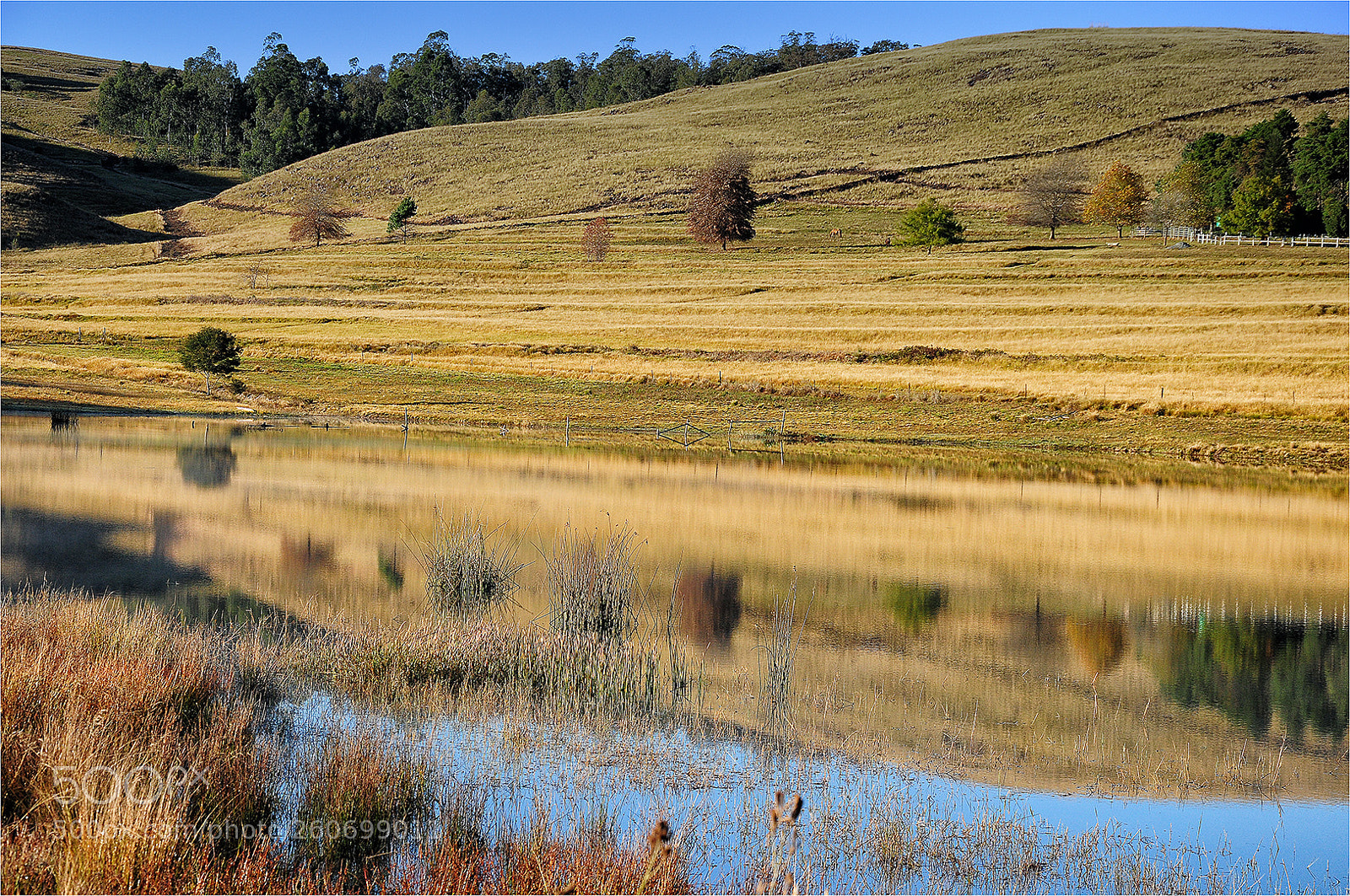 Nikon D300 sample photo. Water view hd photography