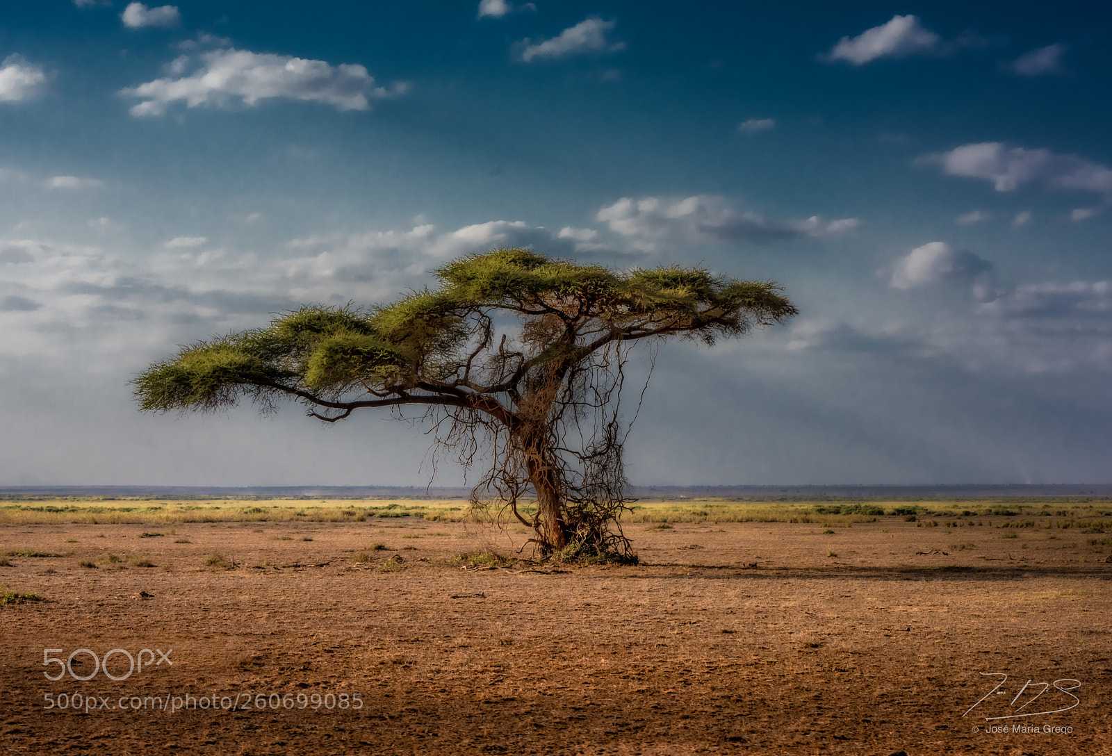 Nikon D810 sample photo. Kenia seychelles photography