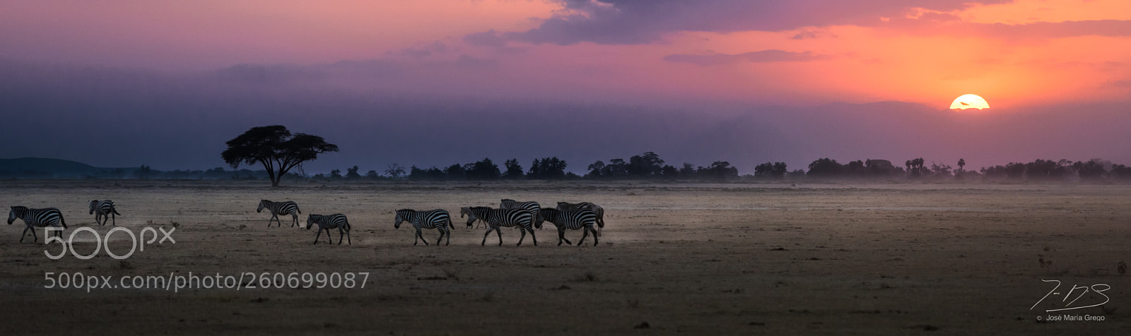 Nikon D810 sample photo. Kenia seychelles photography
