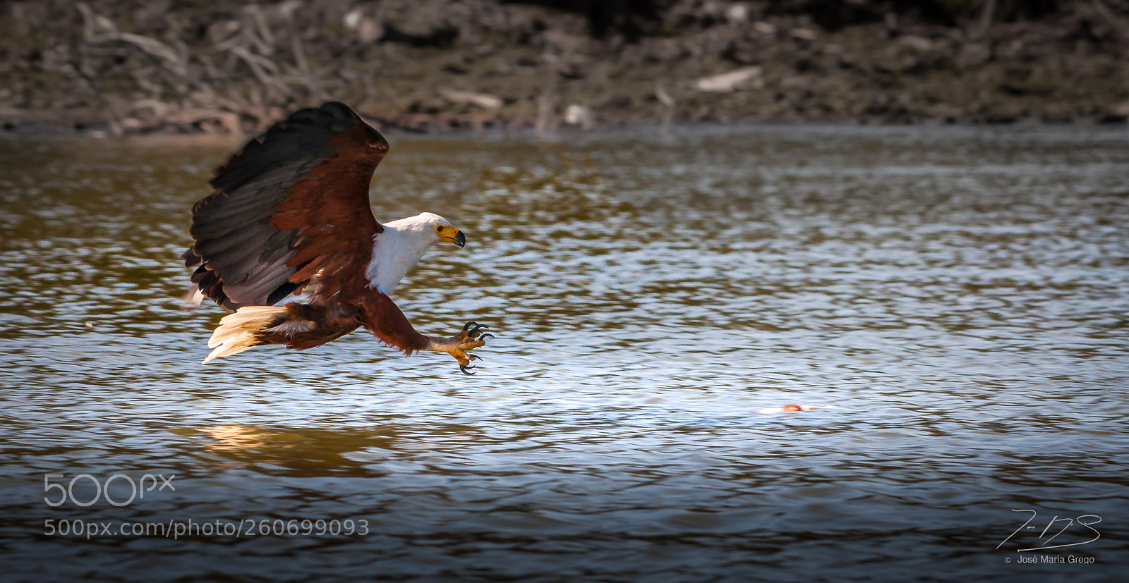 Nikon D300 sample photo. Kenia seychelles photography