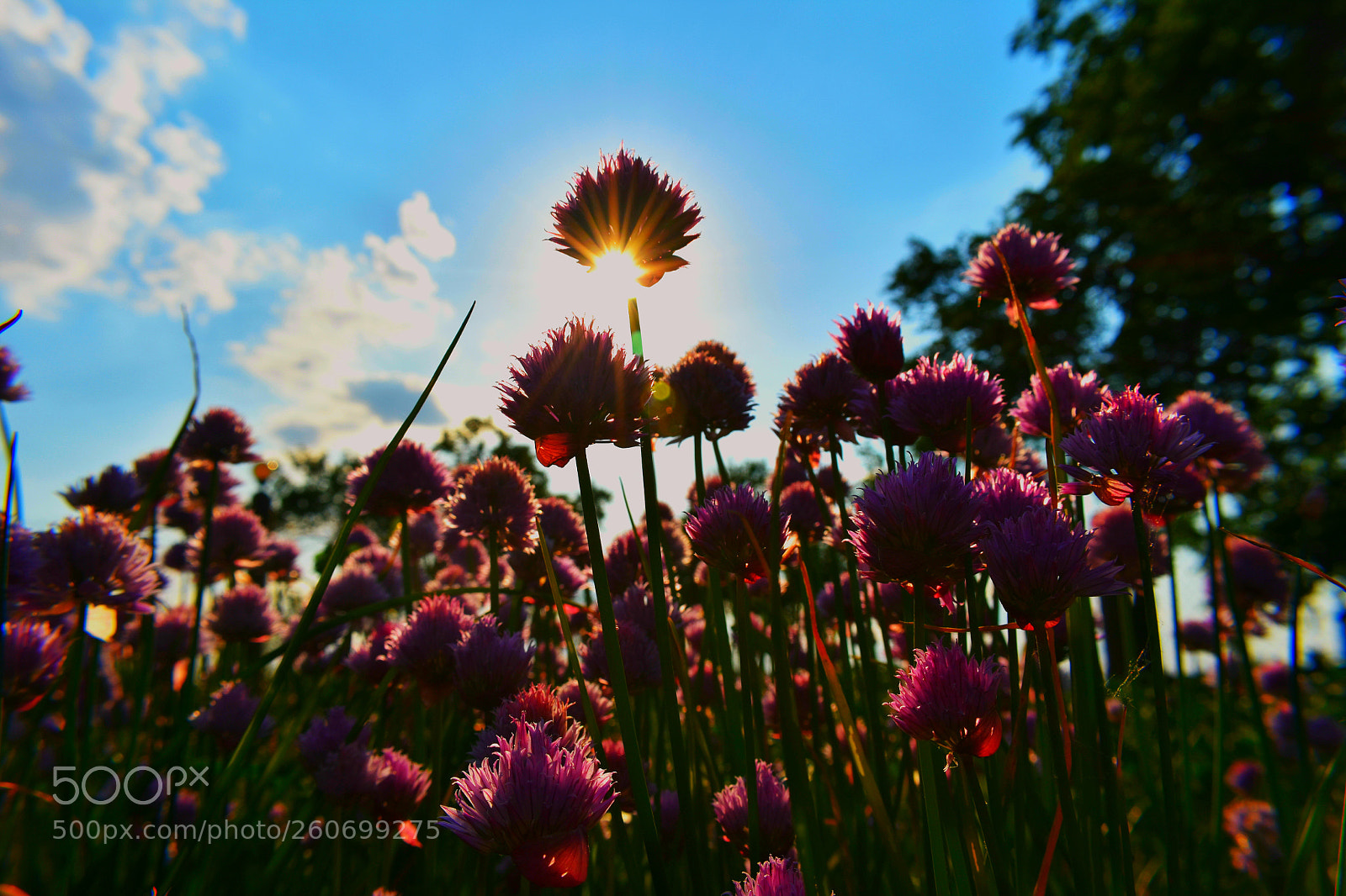 Nikon D3400 sample photo. Untitled photography