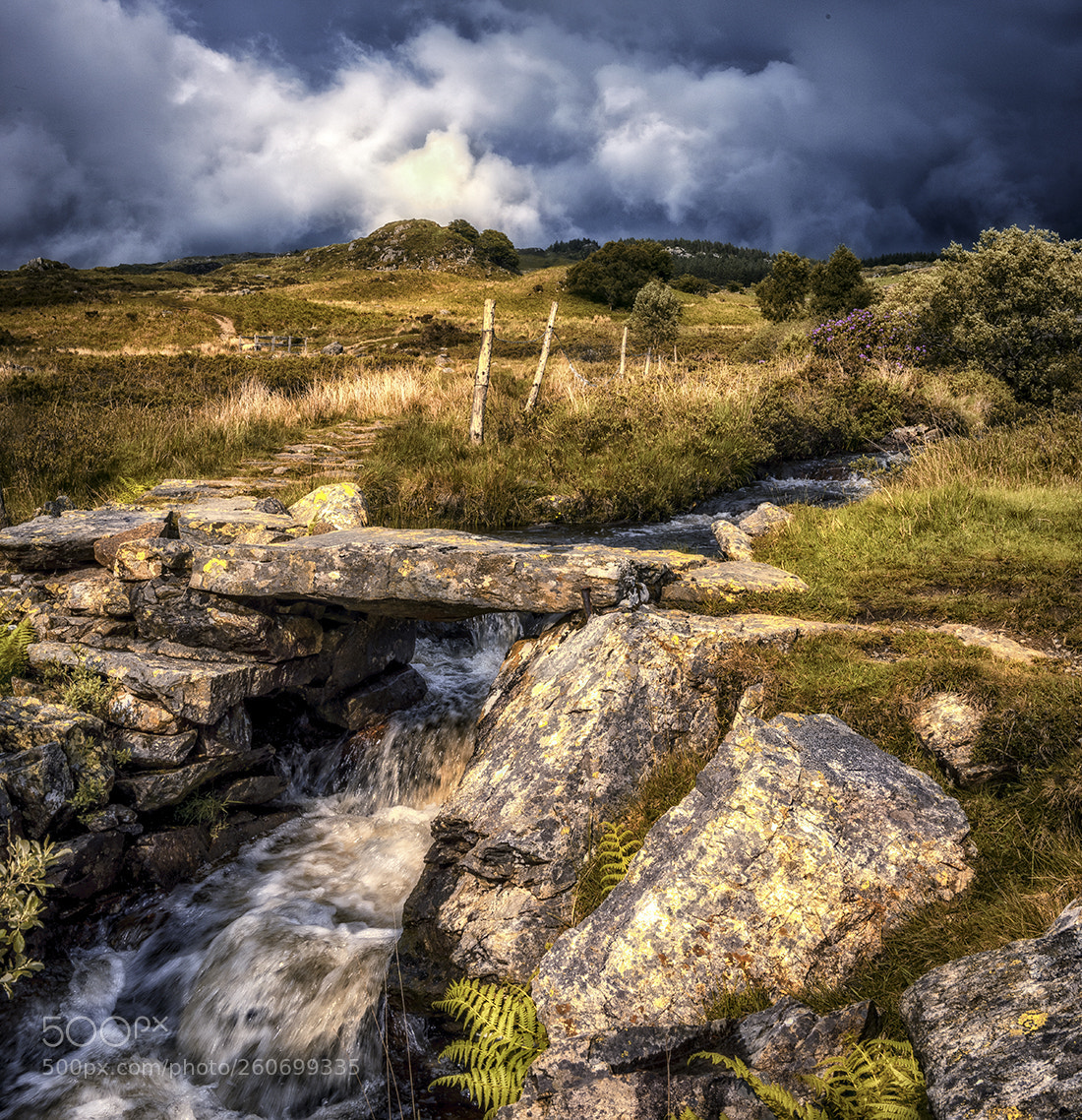 Nikon D810 sample photo. Stone bridge photography