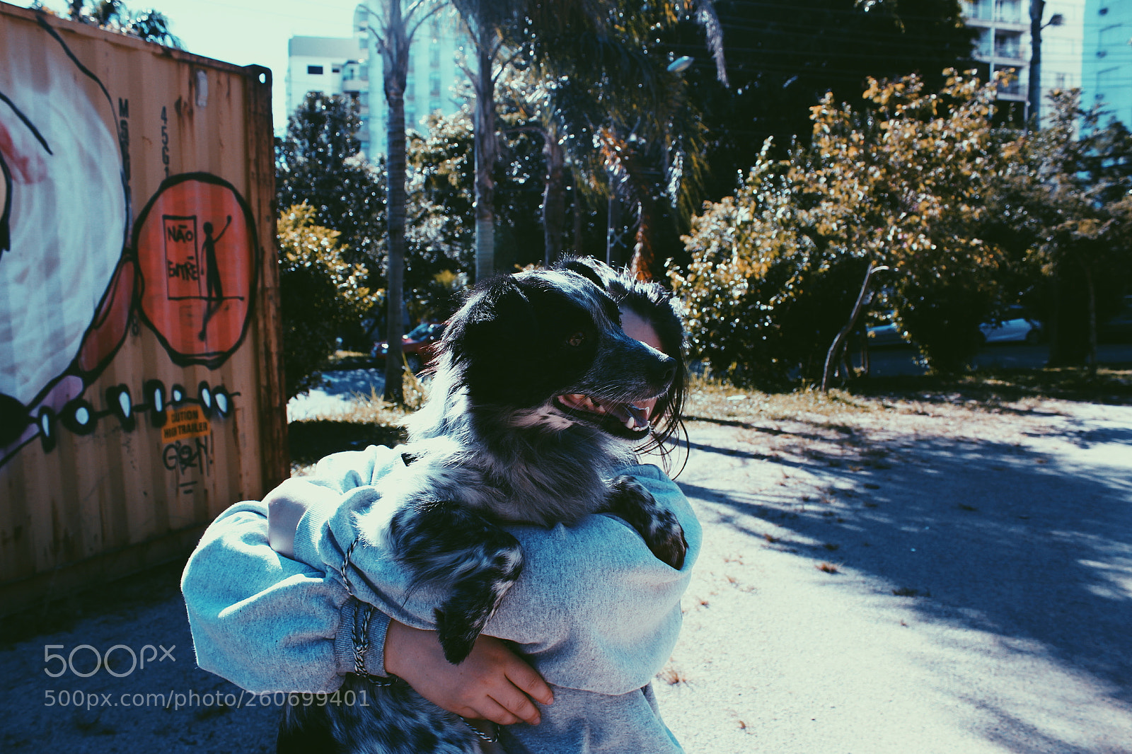 Canon EOS 1200D (EOS Rebel T5 / EOS Kiss X70 / EOS Hi) sample photo. Untitled photography