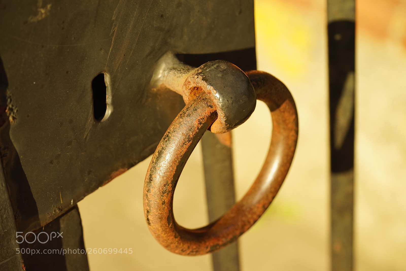 Sony a7R sample photo. Dsc photography