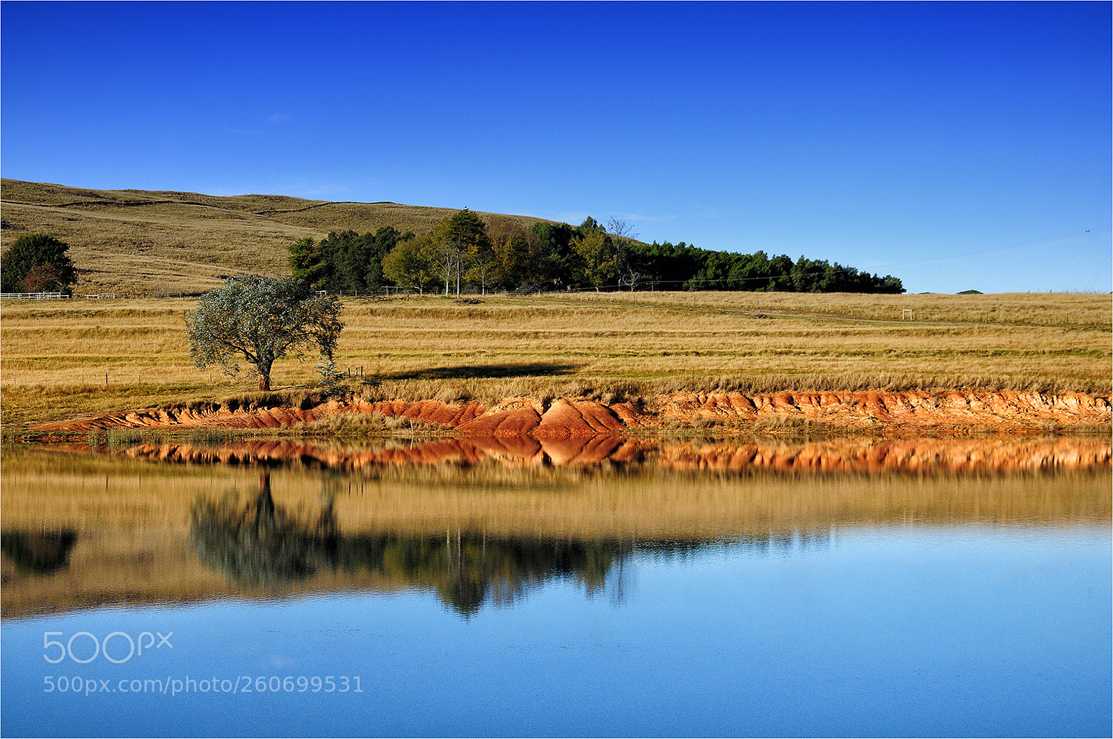 Nikon D300 sample photo. Bold autumn colour photography