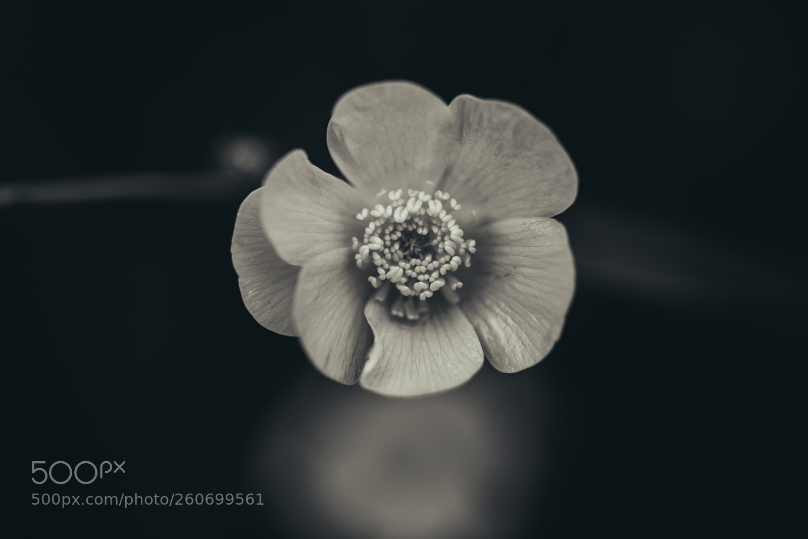 Canon EOS 6D Mark II sample photo. Lost and found photography