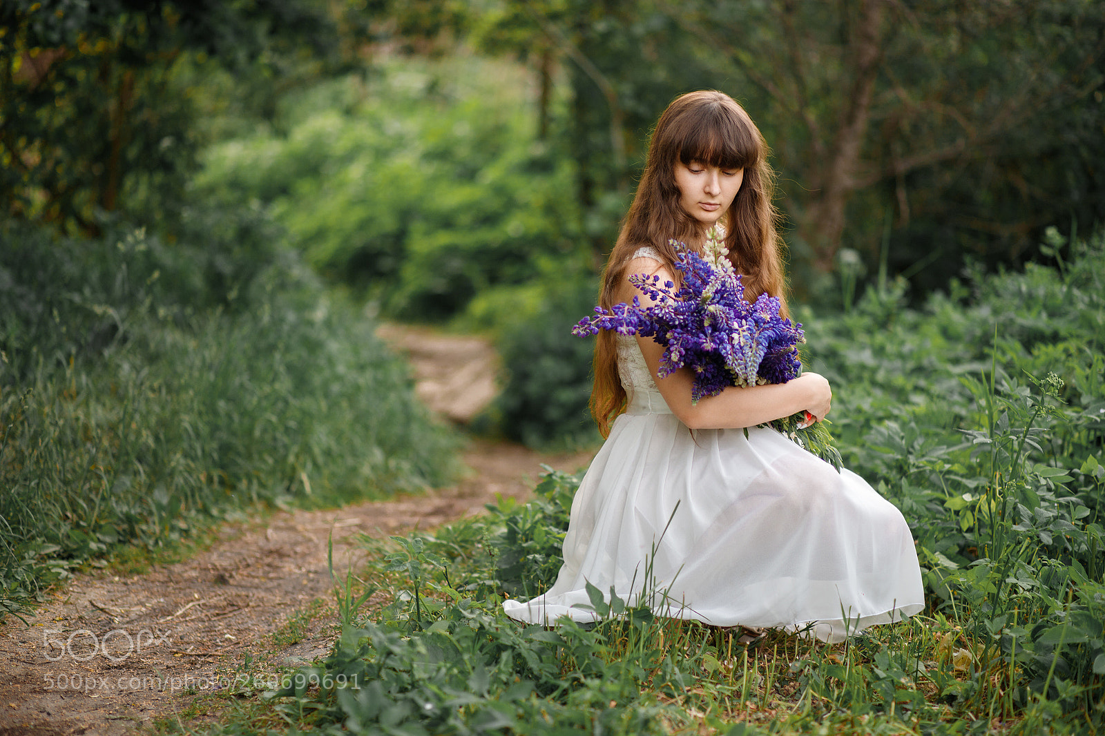 Canon EOS 6D Mark II sample photo. Lupines photography
