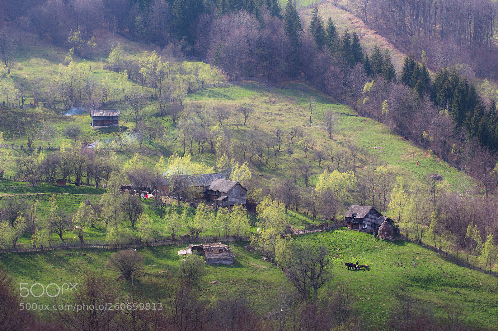 Canon EOS 700D (EOS Rebel T5i / EOS Kiss X7i) sample photo. Romania village photography
