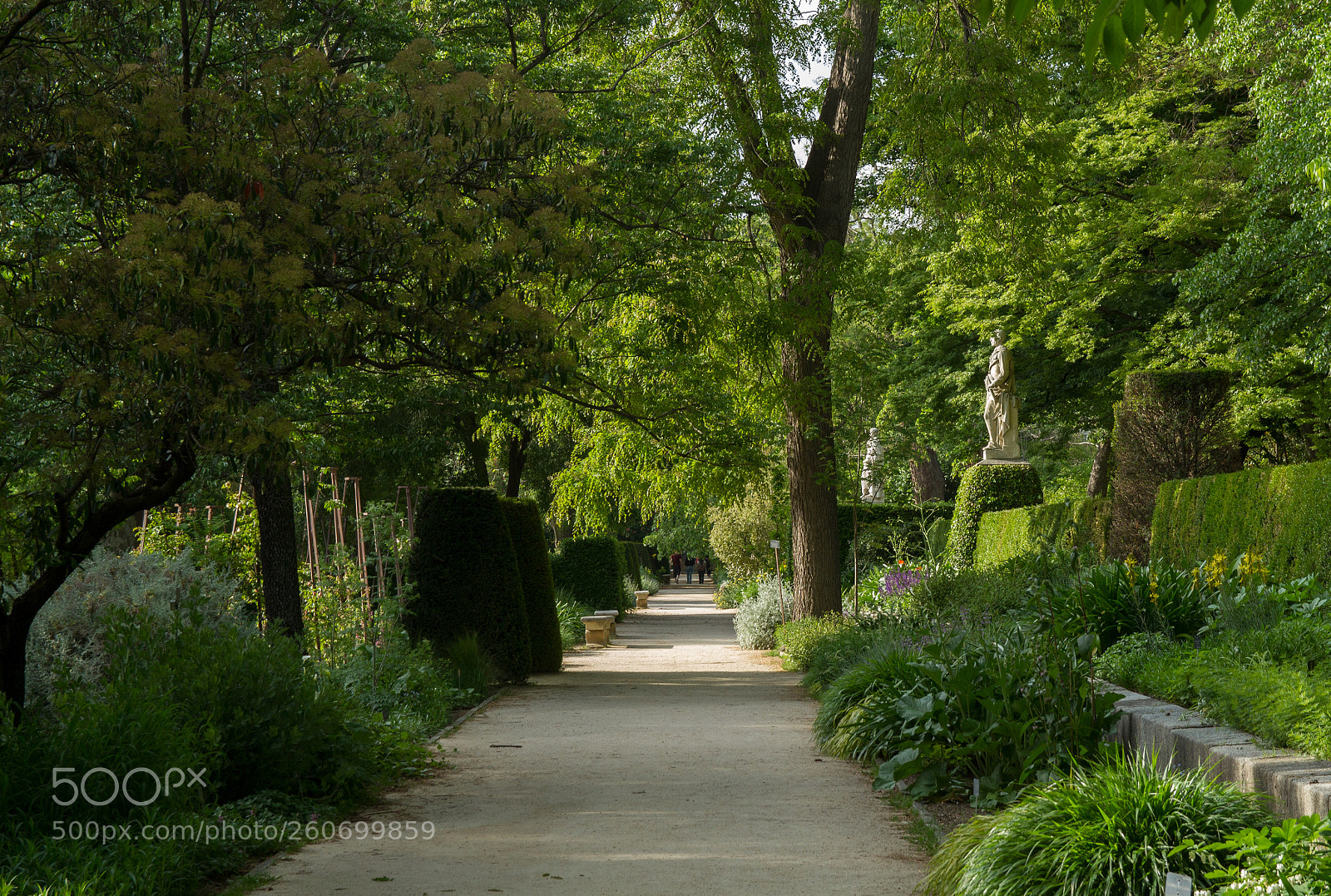 Canon EOS 7D sample photo. Green way photography