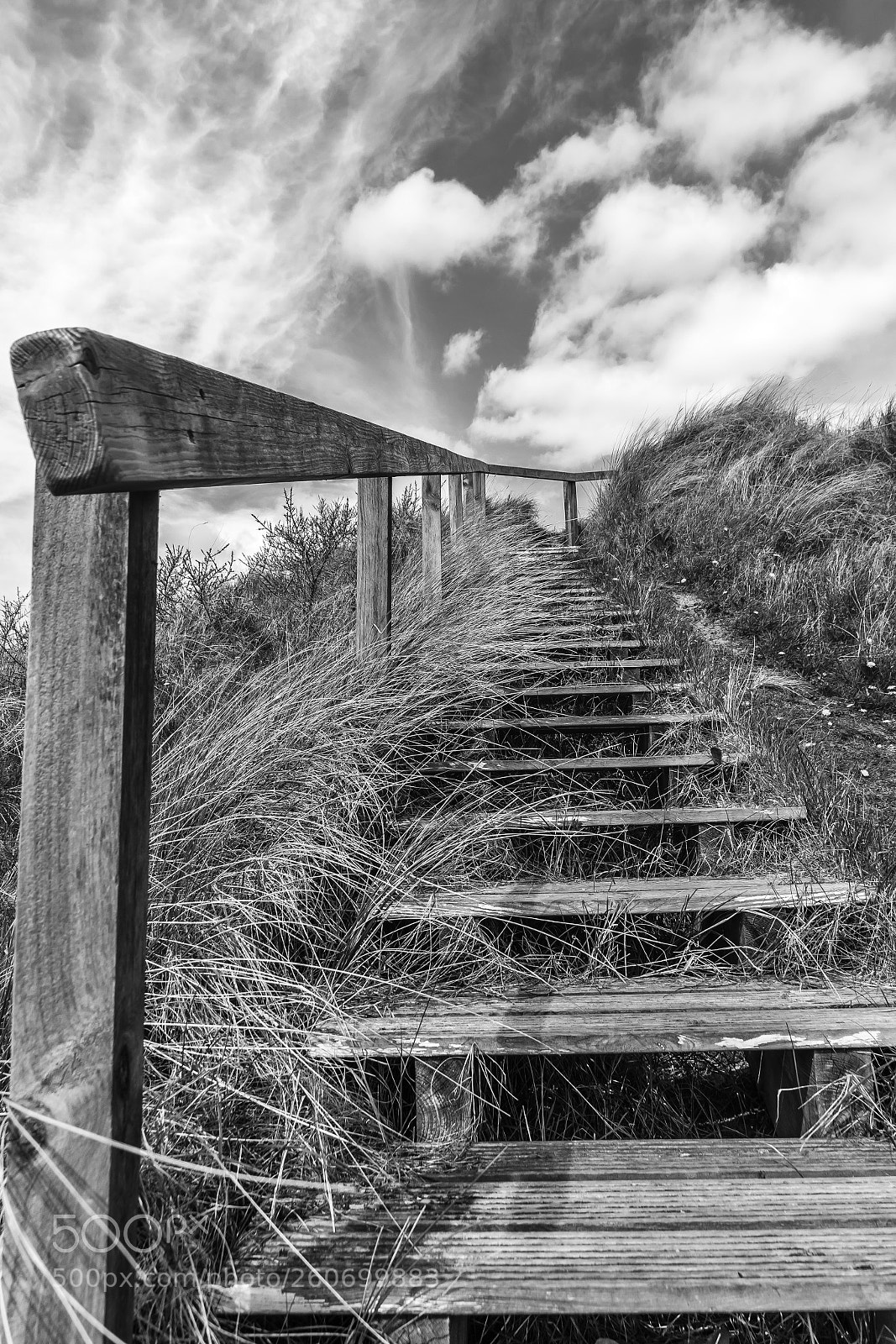 Nikon D500 sample photo. Stairway to........ photography