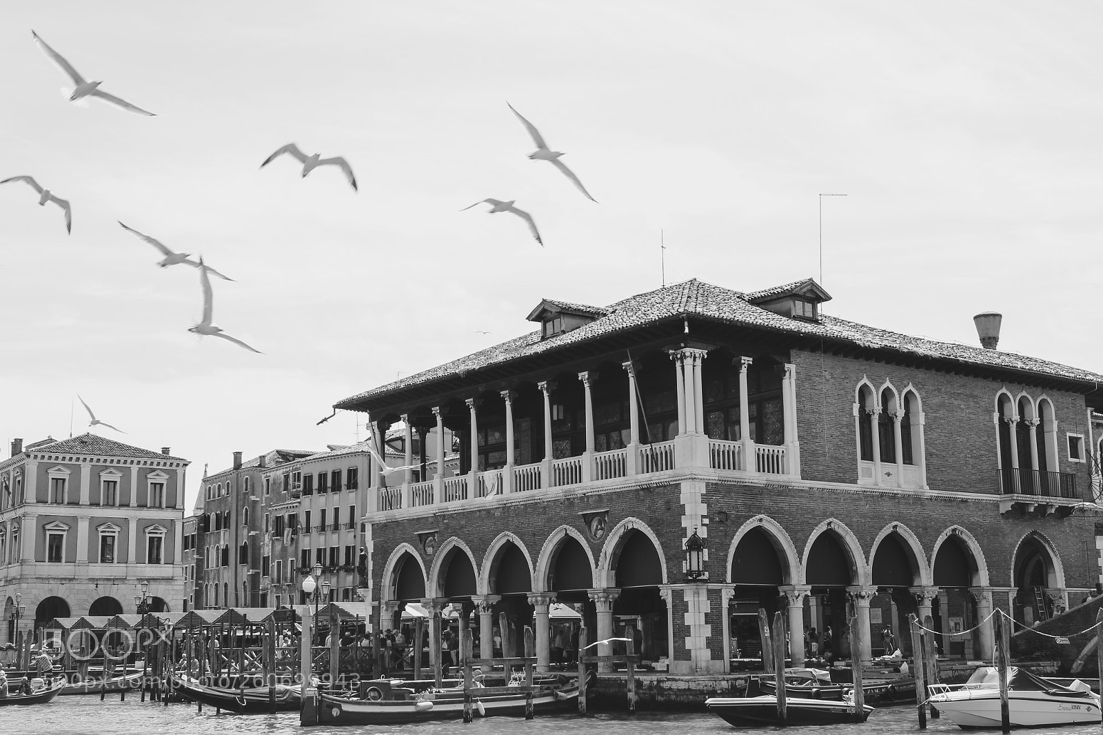 Canon EOS 550D (EOS Rebel T2i / EOS Kiss X4) sample photo. Venise photography