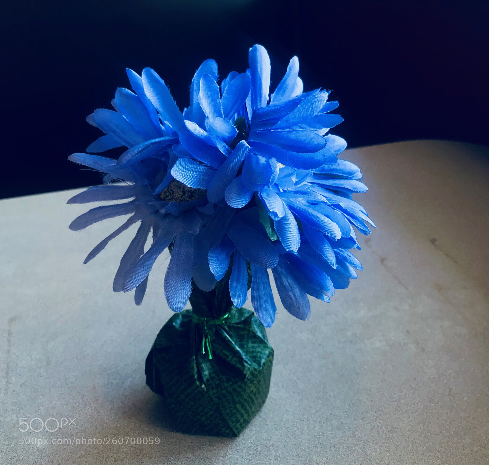 Apple iPhone 7 Plus sample photo. Single flower photography