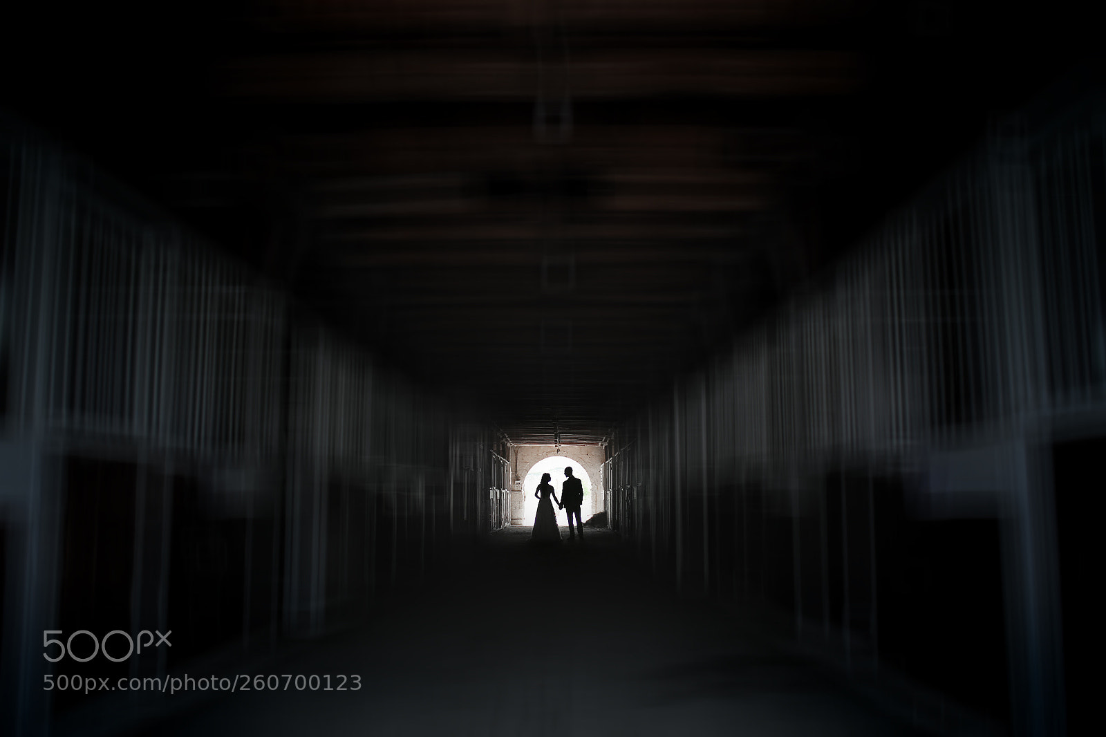 Canon EOS 6D sample photo. Simetry photography