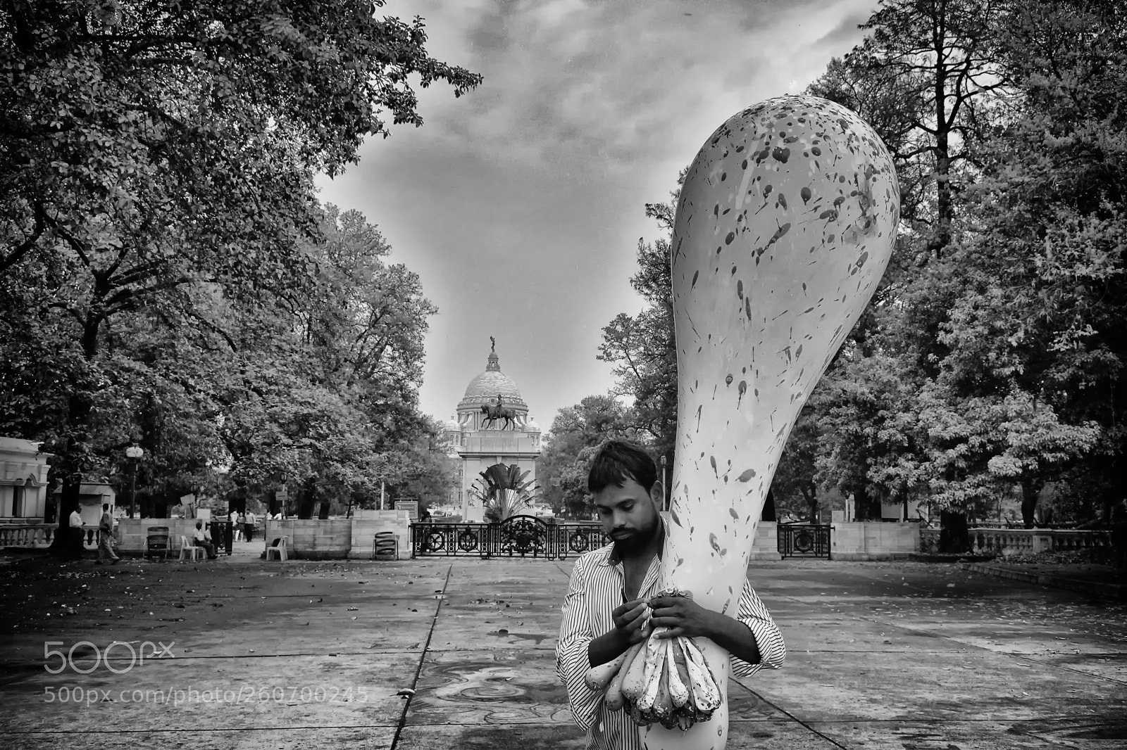 Nikon D7200 sample photo. Livelihood !! photography
