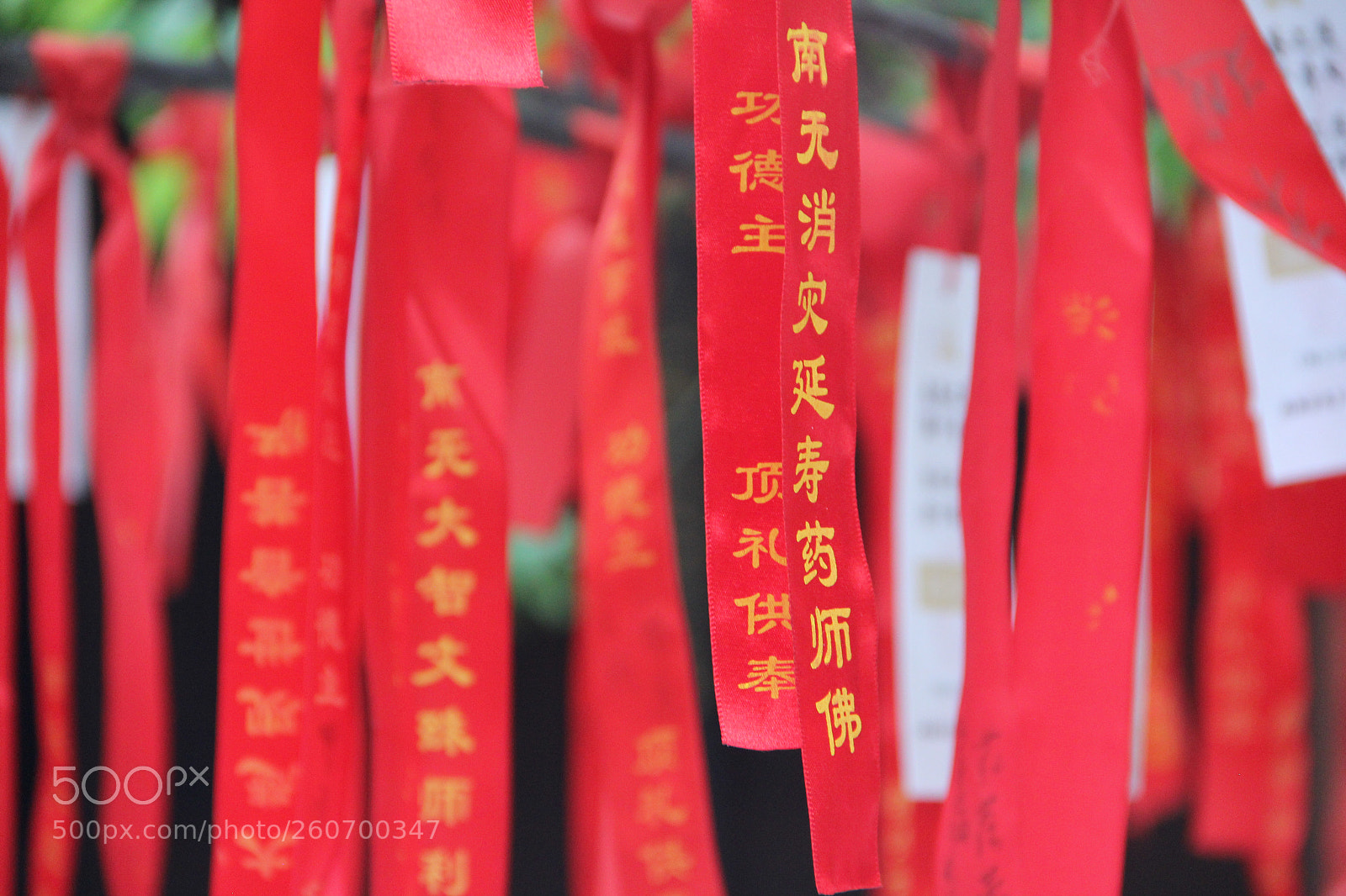 Canon EOS 60D sample photo. Wishes photography
