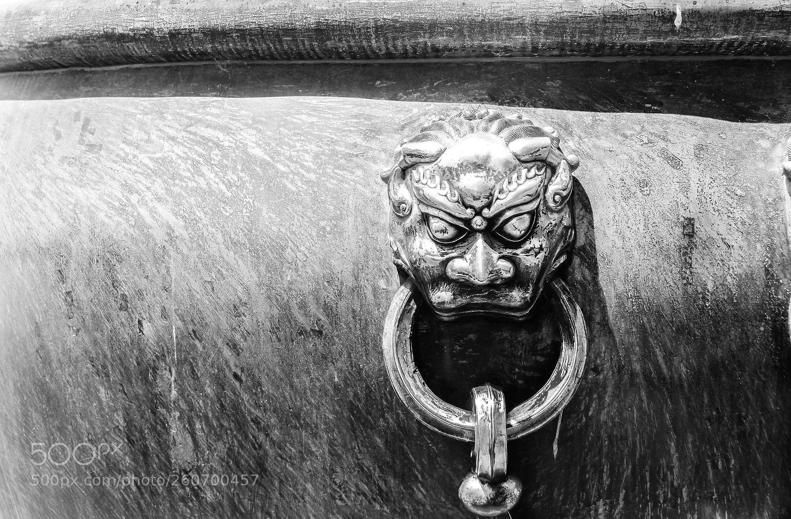 Canon EOS 60D sample photo. Always watching photography