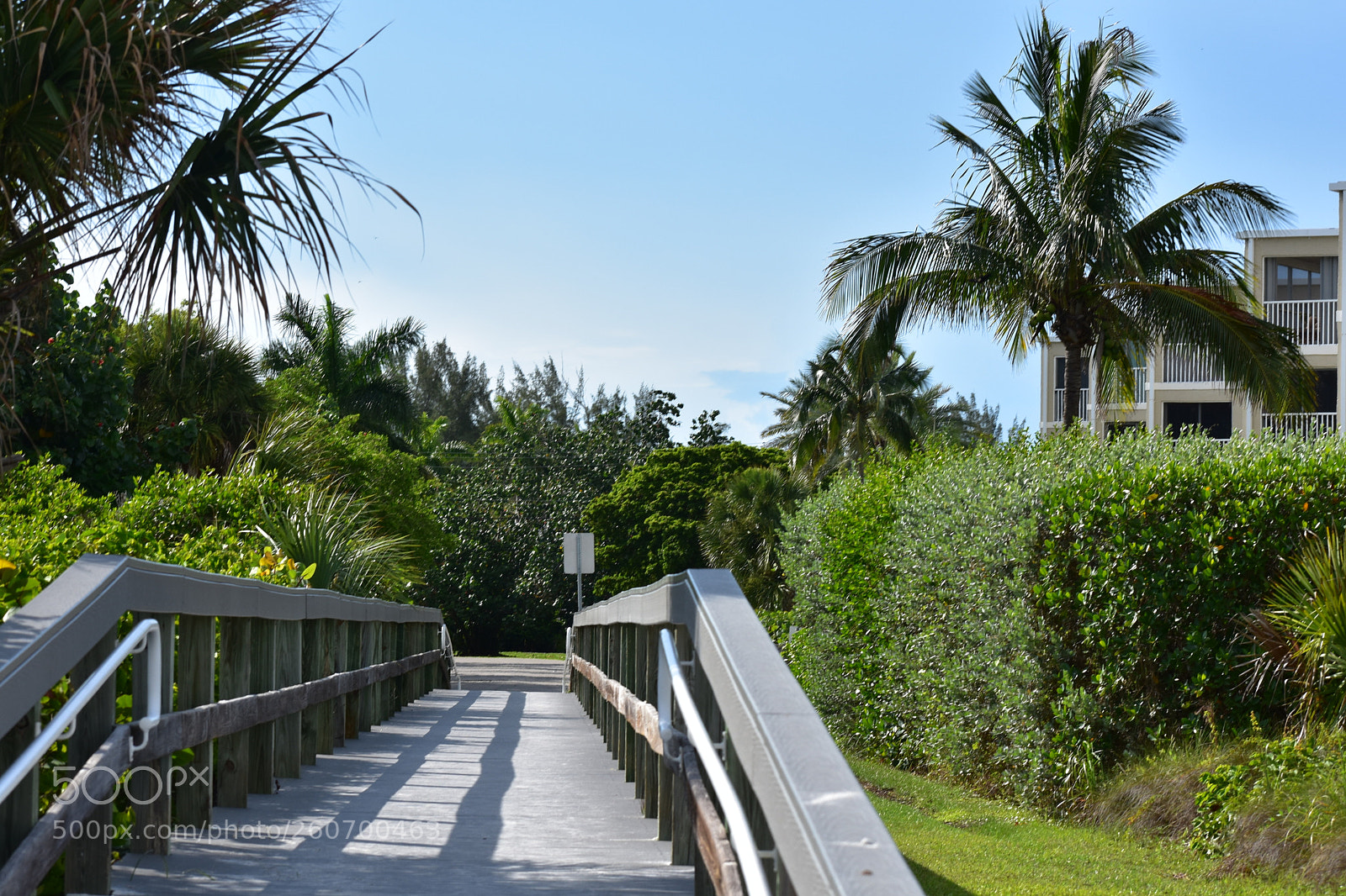 Nikon D3400 sample photo. Dsc photography
