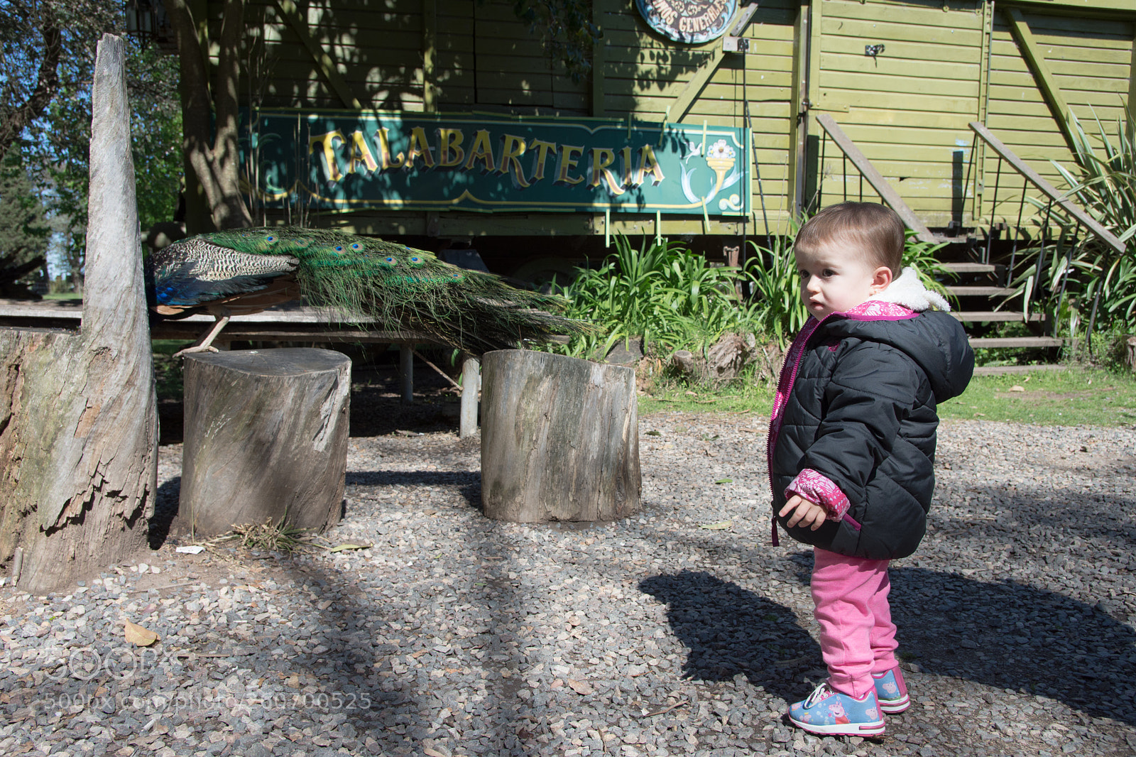 Nikon D7200 sample photo. Helena photography