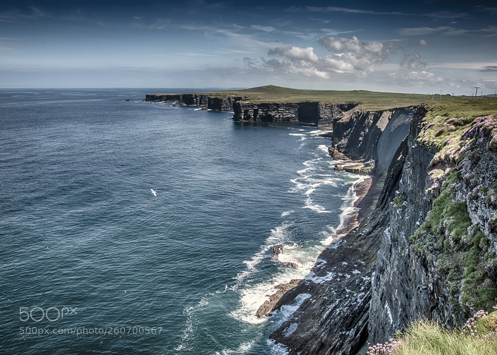 Nikon D5500 sample photo. Loop head coastal cliffs photography