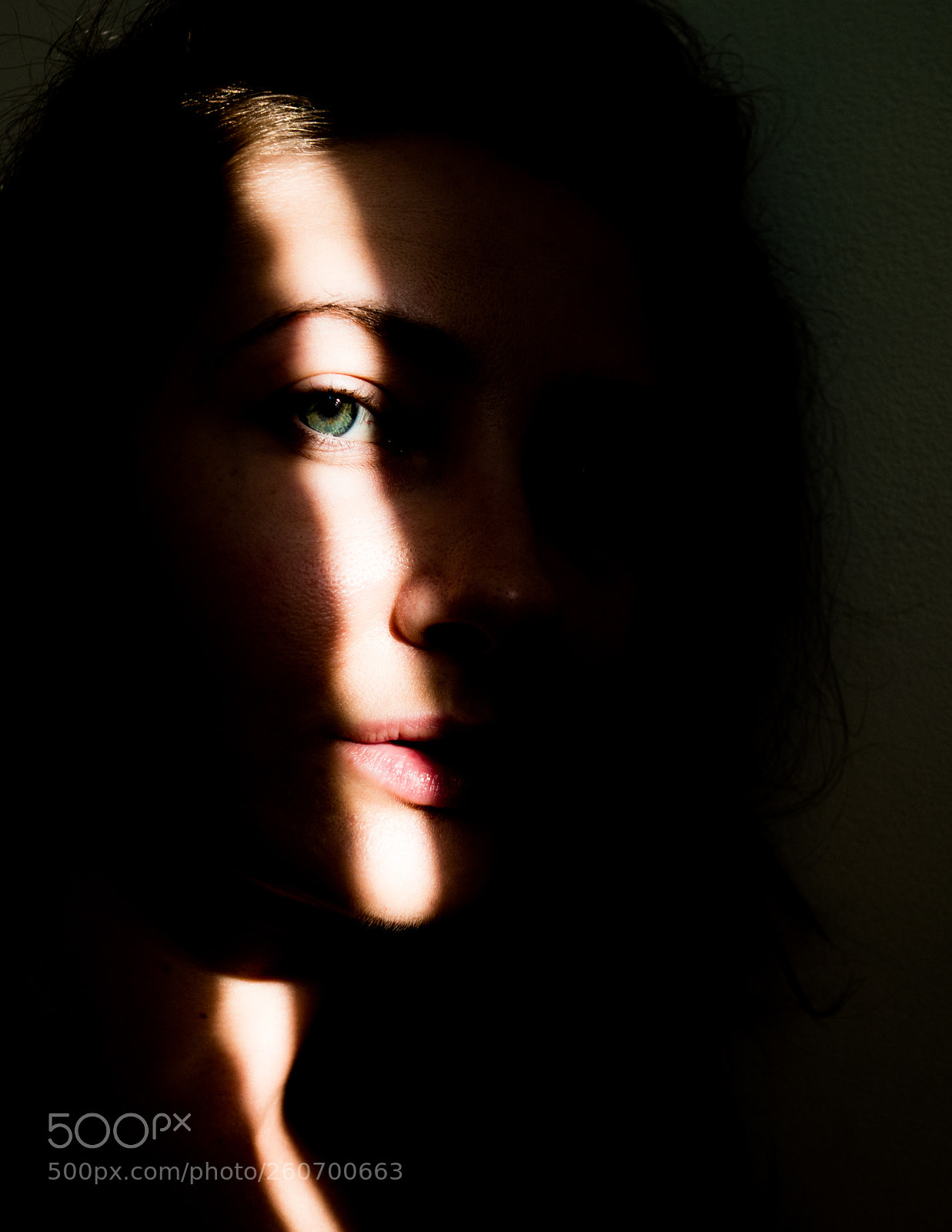 Olympus OM-D E-M5 II sample photo. Law of seduction photography