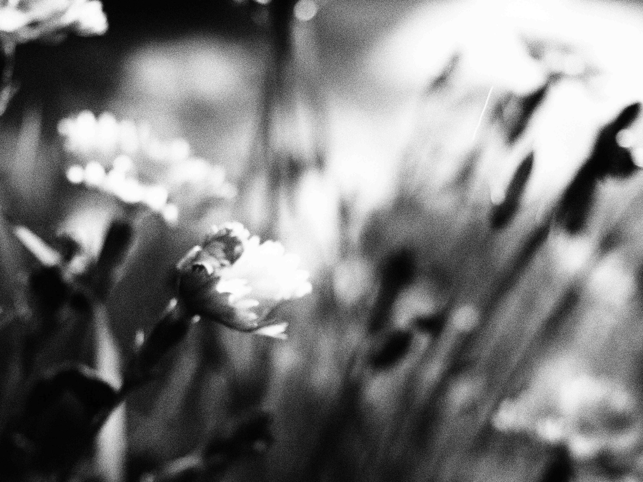 Olympus PEN E-PL6 sample photo. Illusion photography