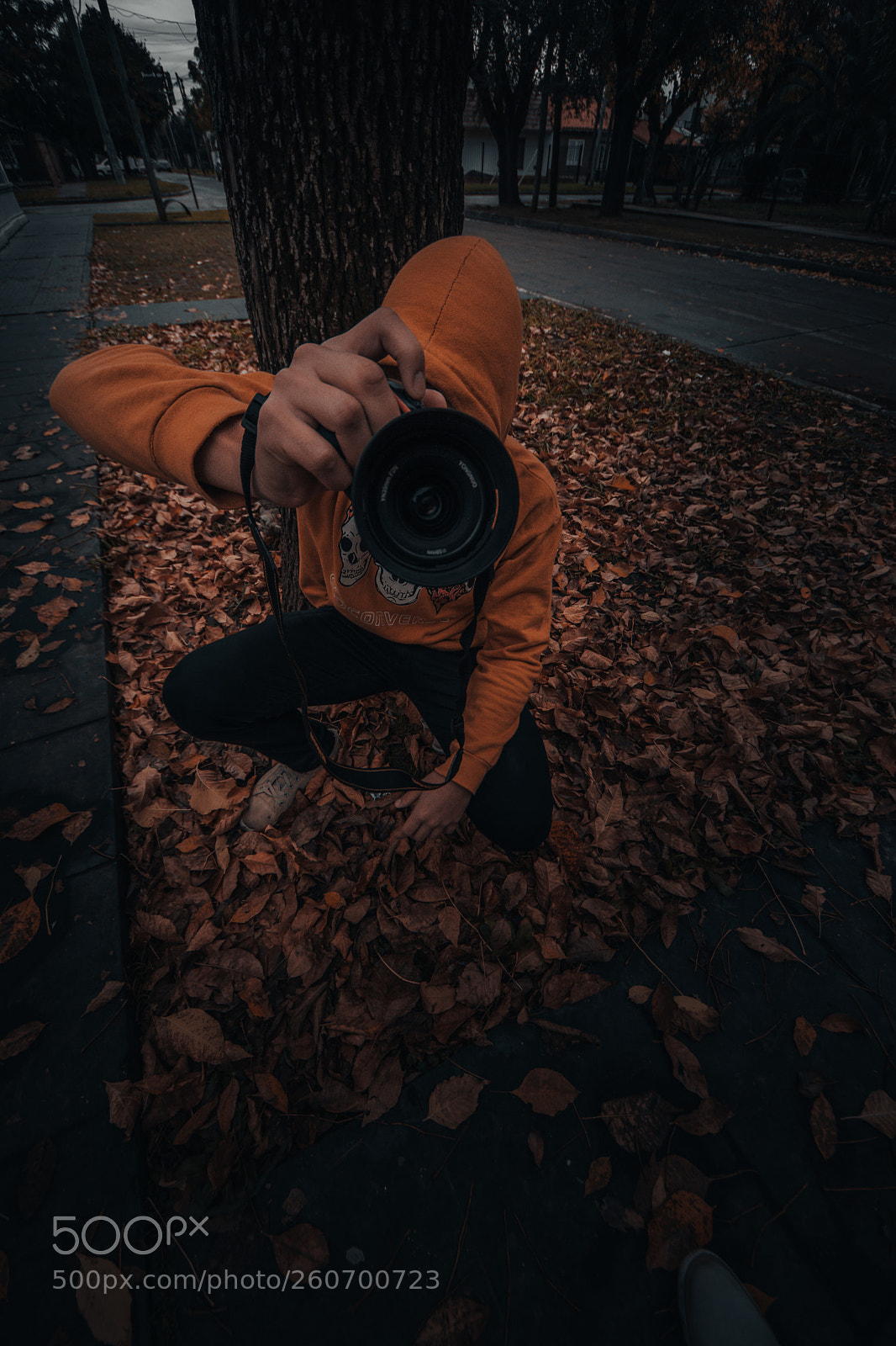 Nikon D5600 sample photo. Untitled photography