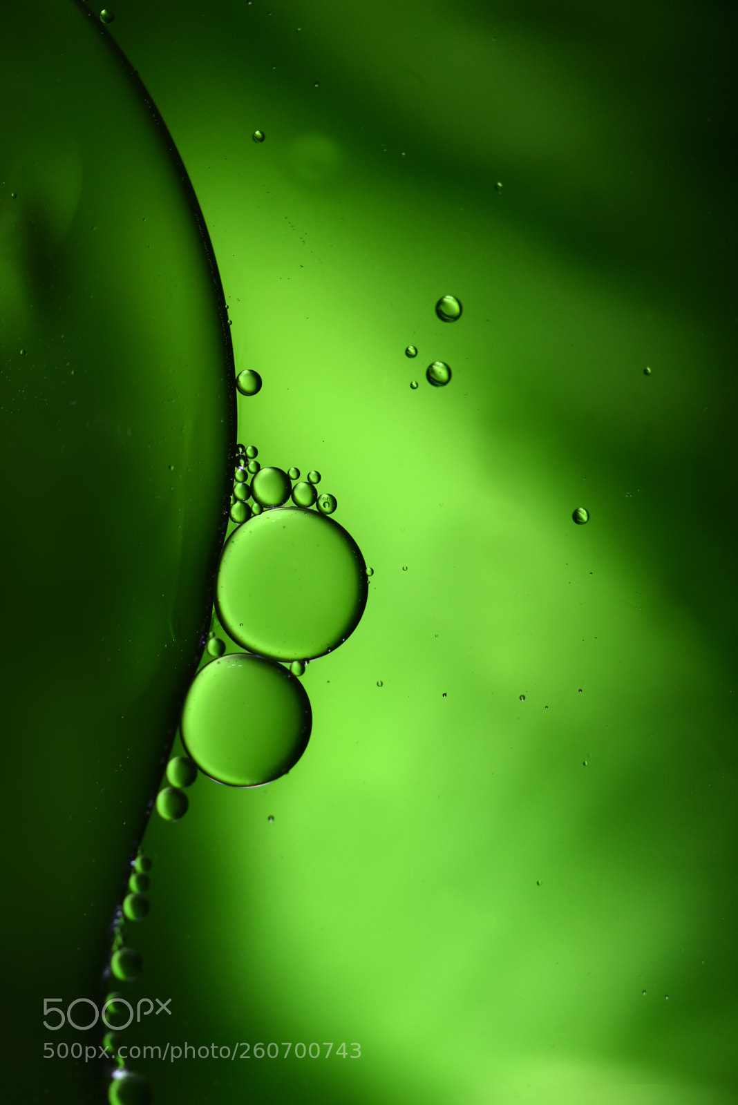 Nikon D750 sample photo. Bubbles seven photography