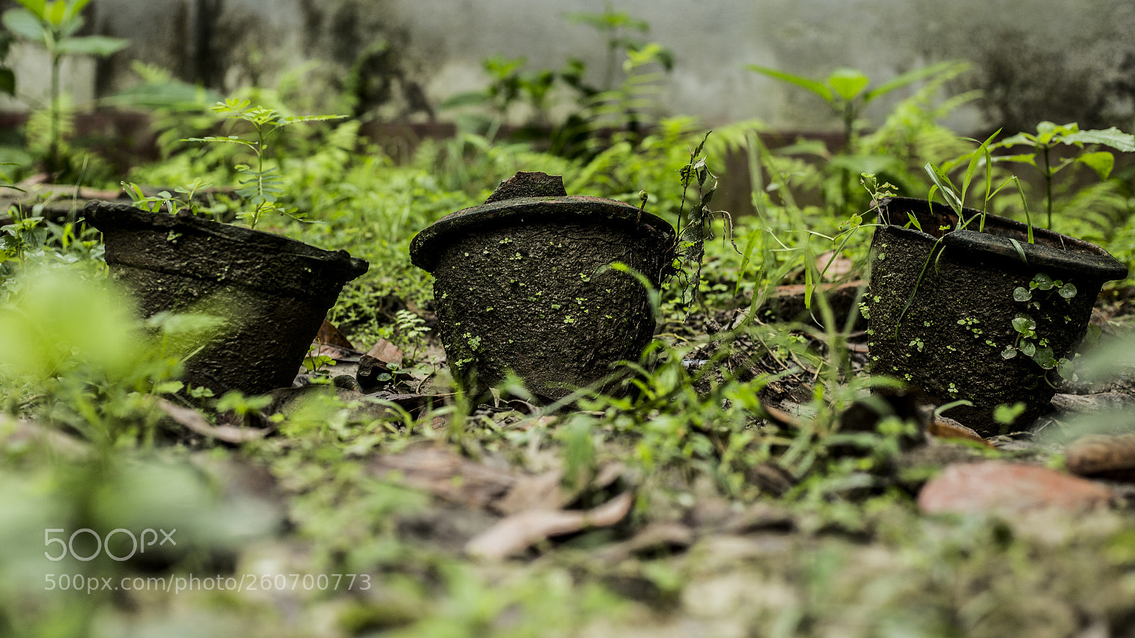 Canon EOS 6D sample photo. The dirty beauty photography