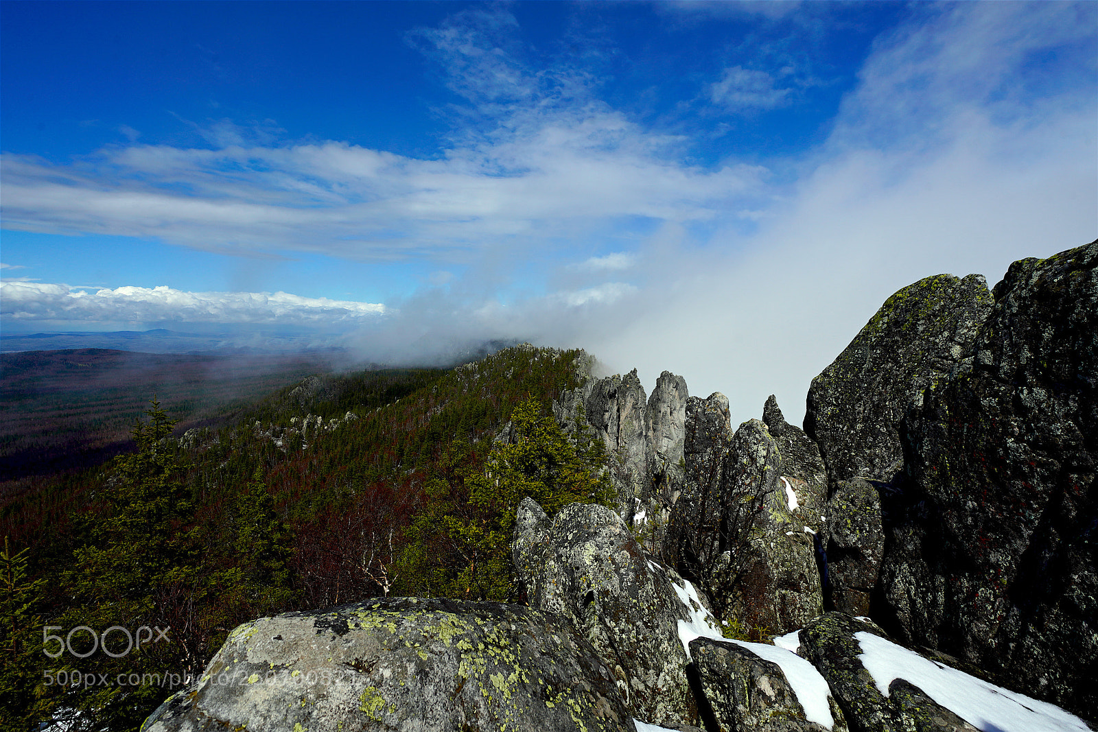Sony a7R III sample photo. 325.jpg photography