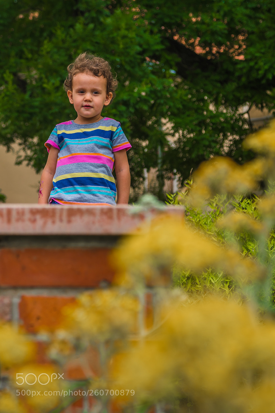 Nikon D750 sample photo. Behind the flowers photography